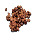 low price pine nut kernels